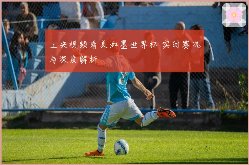 上央视频看美加墨世界杯 实时赛况与深度解析