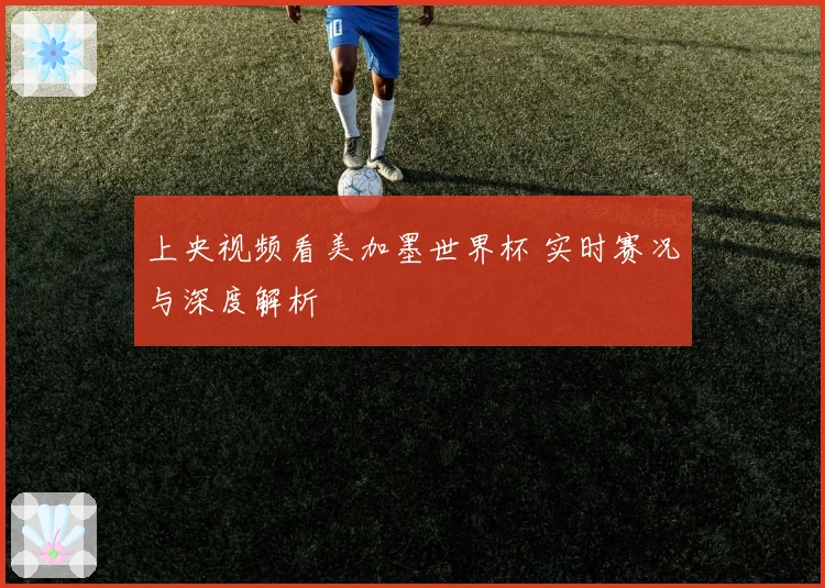 上央视频看美加墨世界杯 实时赛况与深度解析