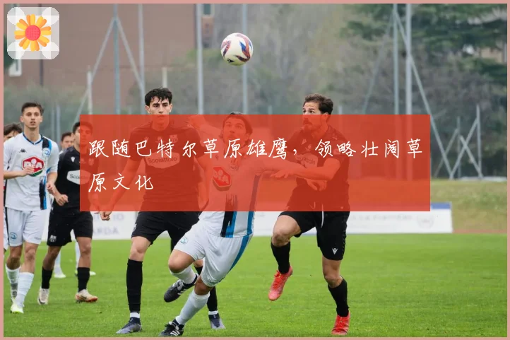 跟随巴特尔草原雄鹰,领略壮阔草原文化